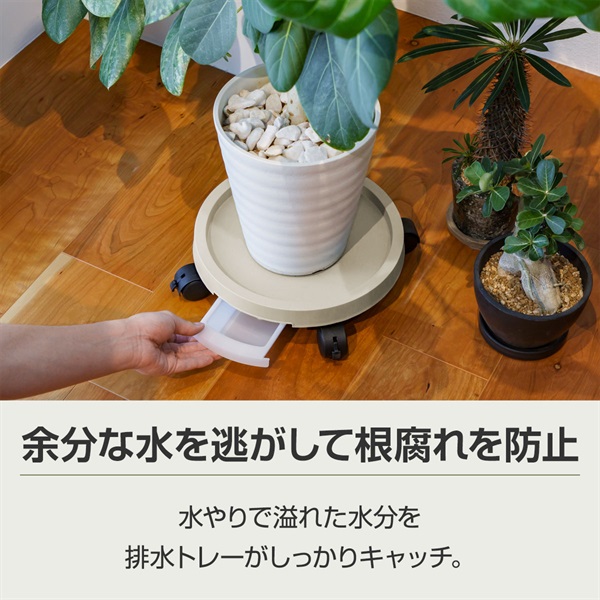 受け皿 キャスター付き 鉢受け皿 鉢皿 鉢台 ソーサー 単品 1個 内径