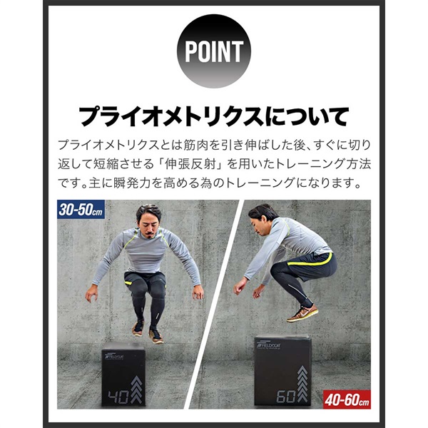 FIELD DOOR トレーニングボックス 50cm FIELDOOR 1年保証 プライオボックス 昇降台 40cm×50cm×60cm