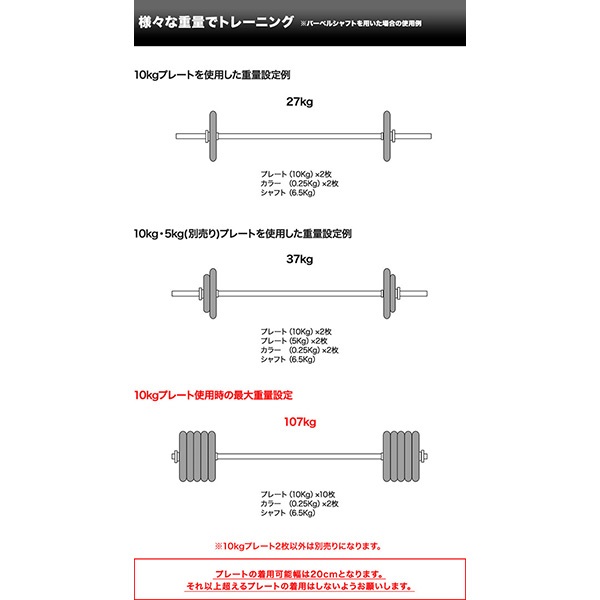 バーベル 用 プレート 10kg 2個セット ブラックアイアン 追加プレート