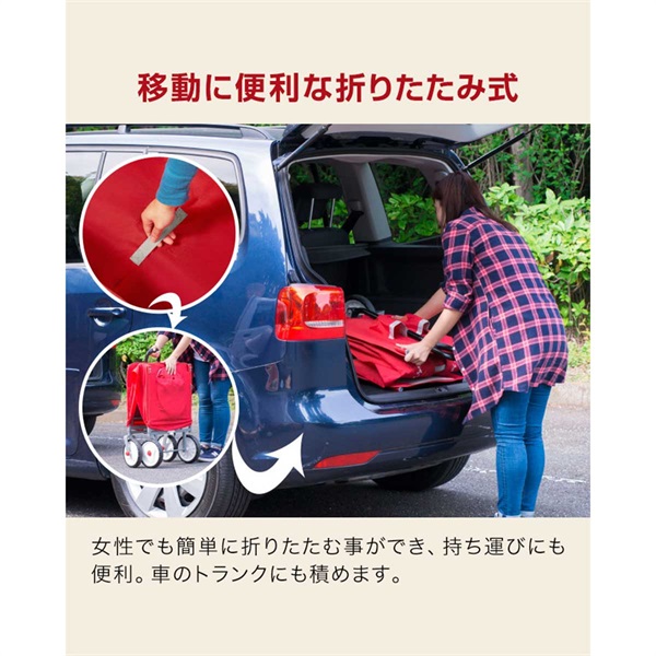 Radio Flyer ラジオフライヤー キャノピー付き 3-in-1 イージー
