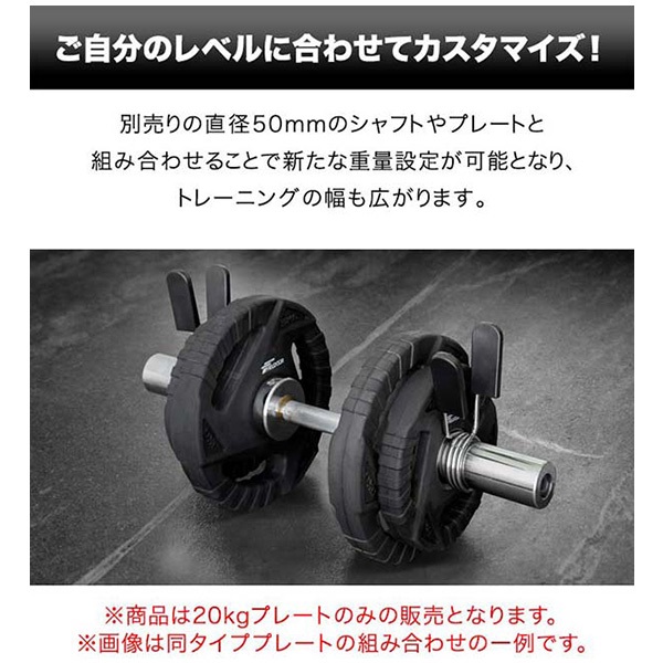 ダンベルプレート 穴あき 20kg 1枚 単品 穴径50mm 追加 バーベル用