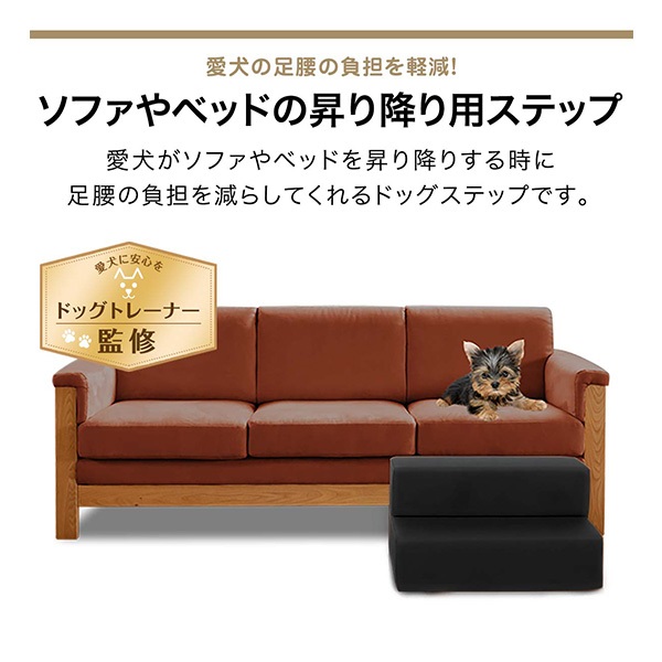 犬 階段 ステップ 2段 ドッグステップ 硬め Lサイズ 幅50cm 抗菌 防臭